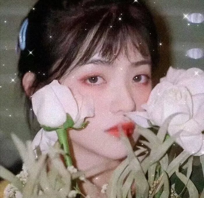 我的秘密之花