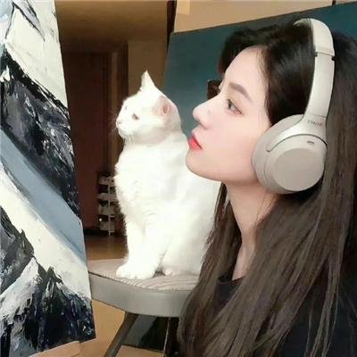 骆驼复仇记